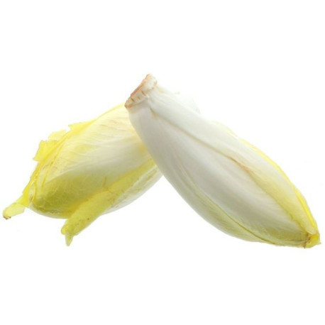 *PRODUIT BLOQUE* CHICON ENDIVE MOSELLE 5KG